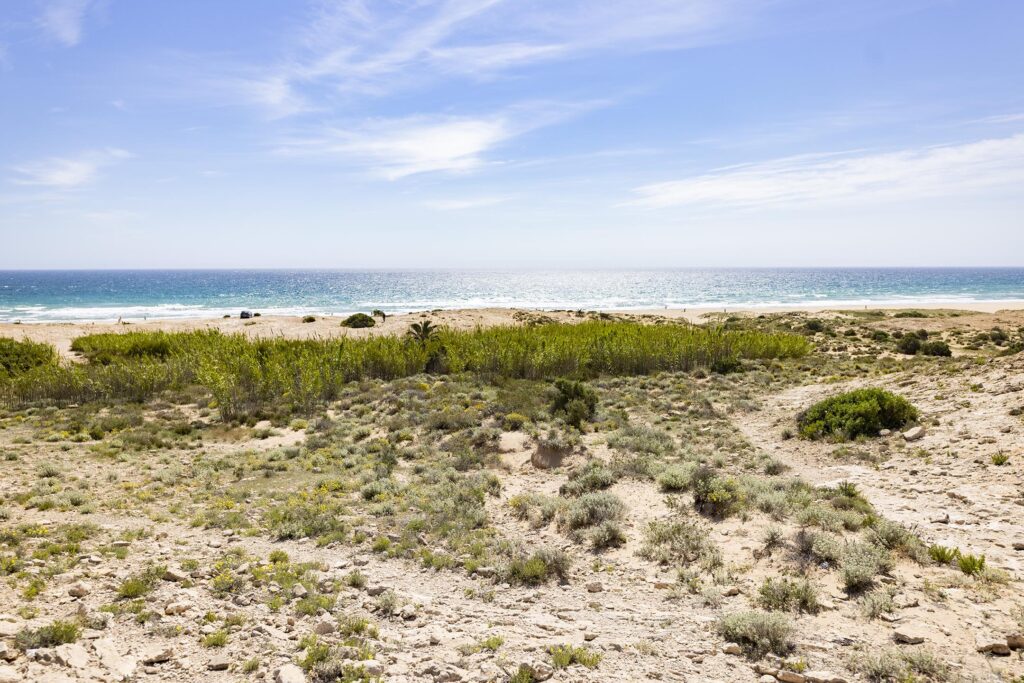 Gay nude beach El Alted