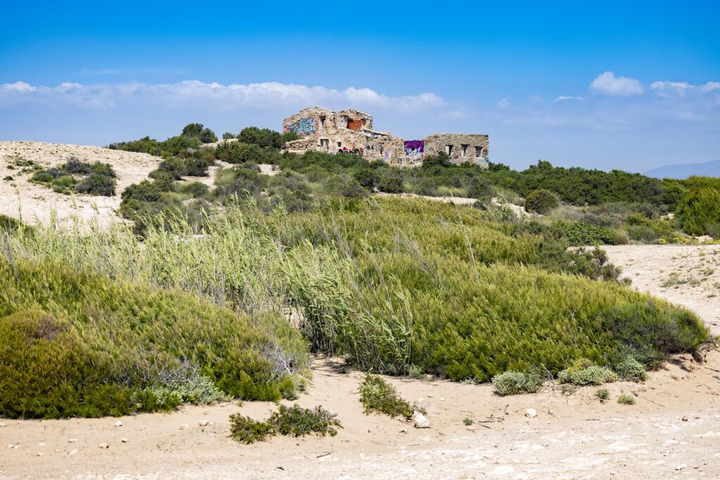 Gay nude beach El Alted